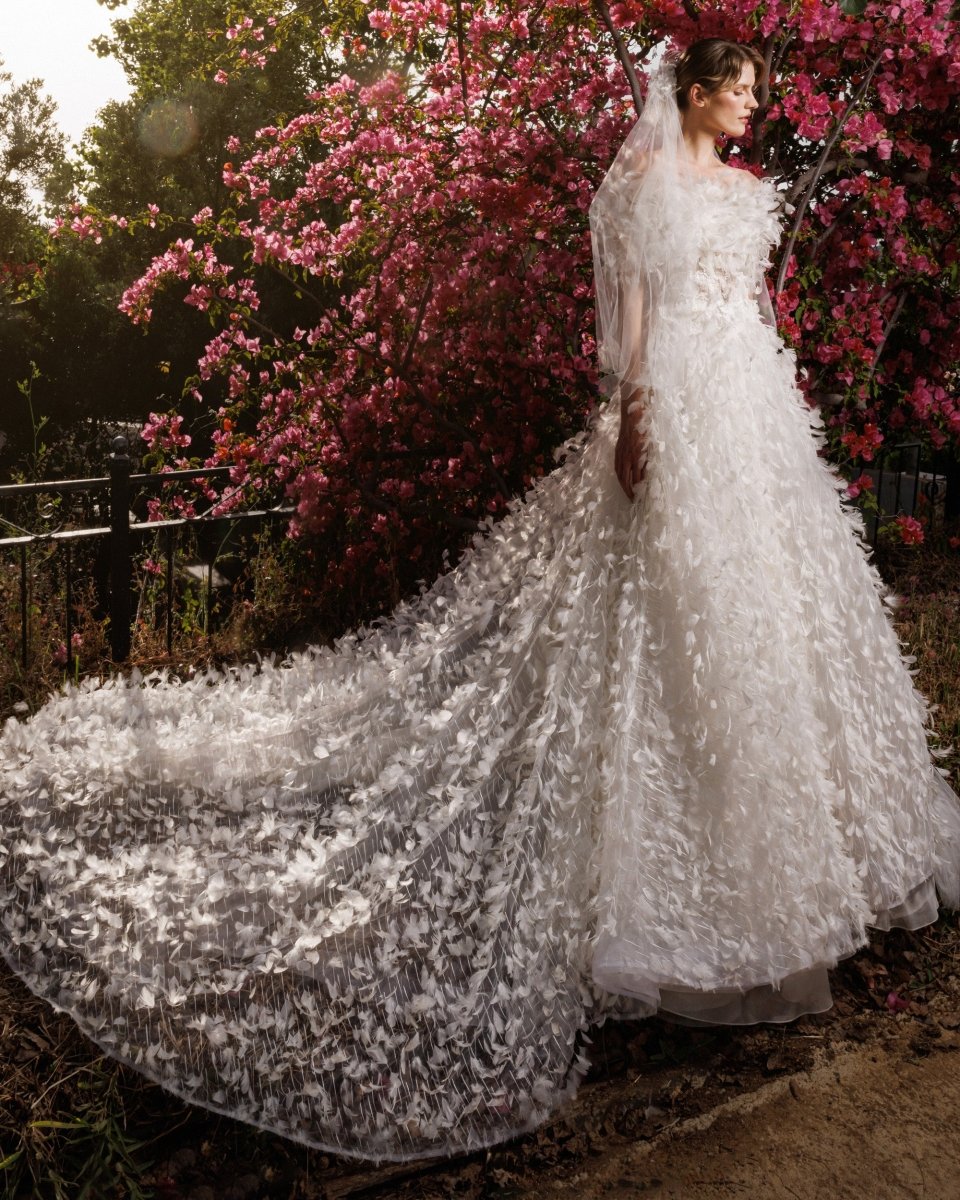 Dandelion - Gemy Maalouf