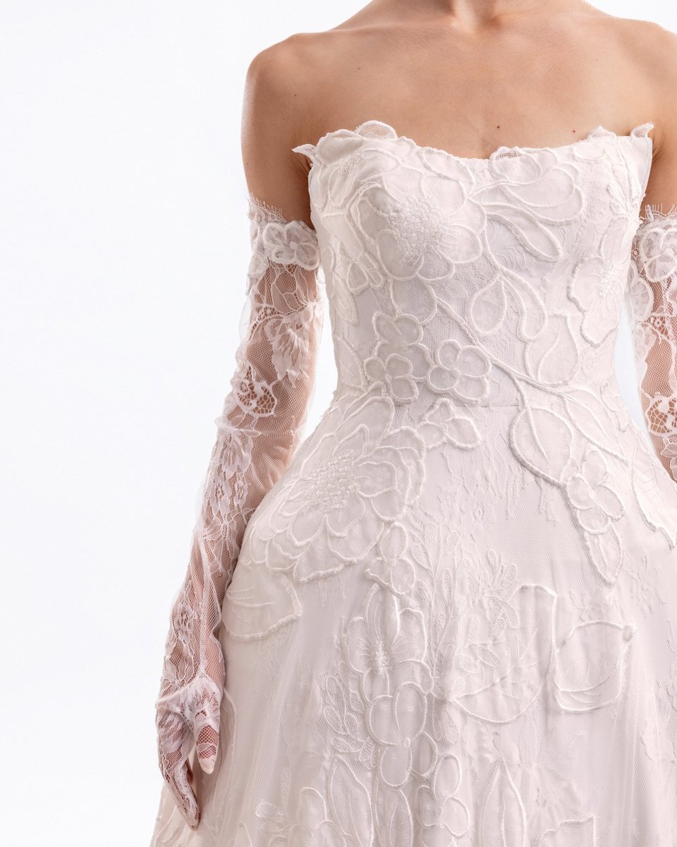 Wren 1 - Gemy Maalouf