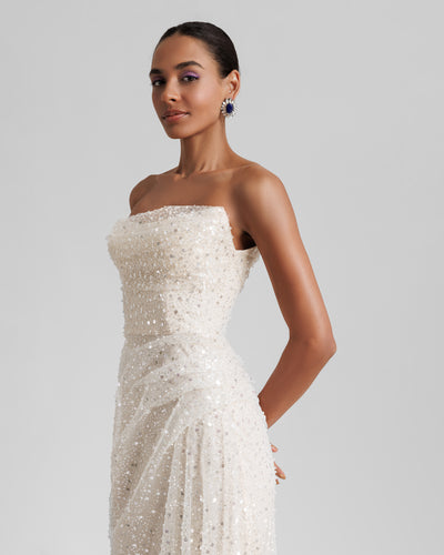 Strapless Embroidered Tulle Dress