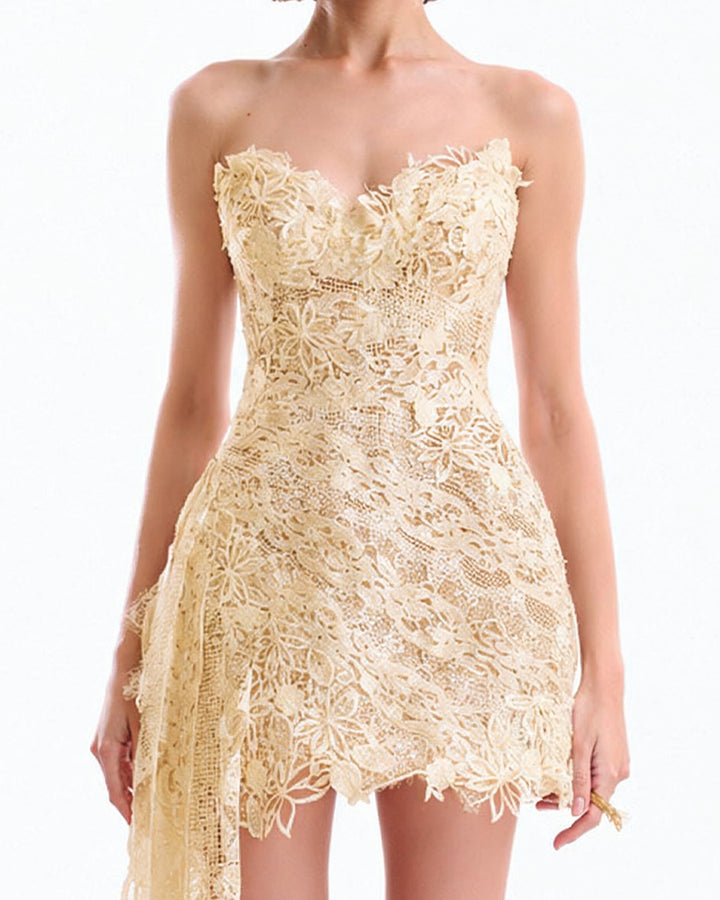 Guipure Cage Dress
