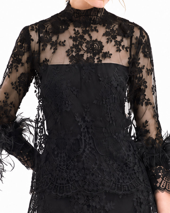 Sheer Lace Feather-Trim Top