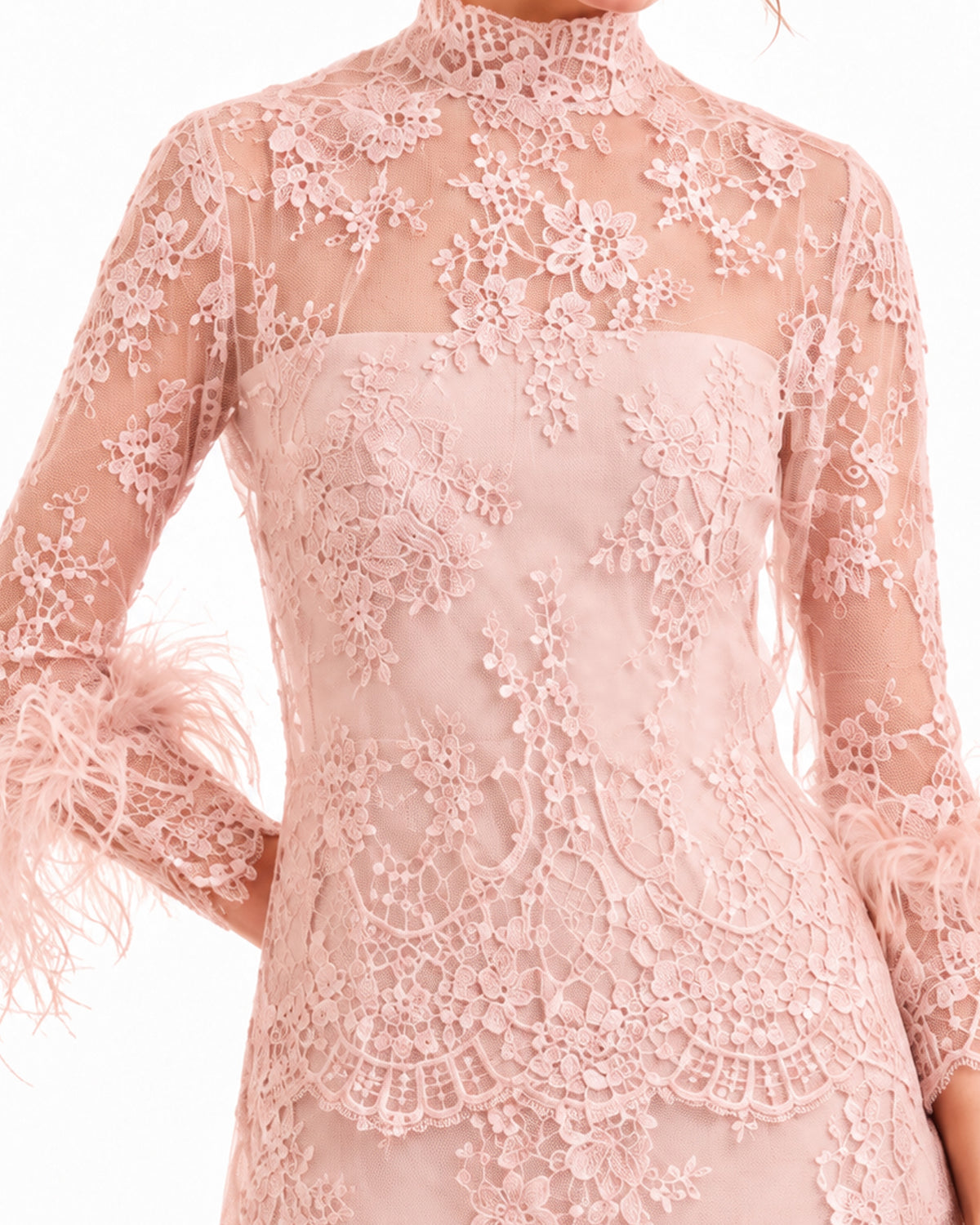 Sheer Lace Feather-Trim Top