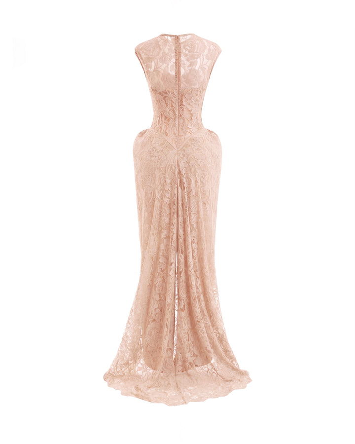 Sculpted Lace Dress with Sheer Bodice