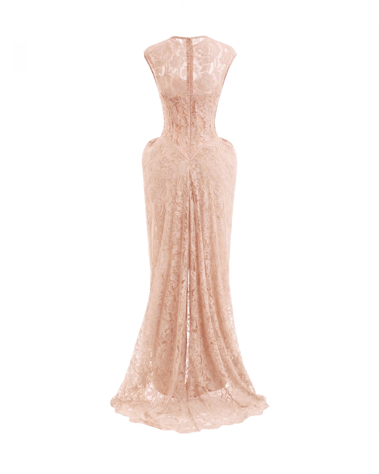 Sculpted Lace Dress with Sheer Bodice