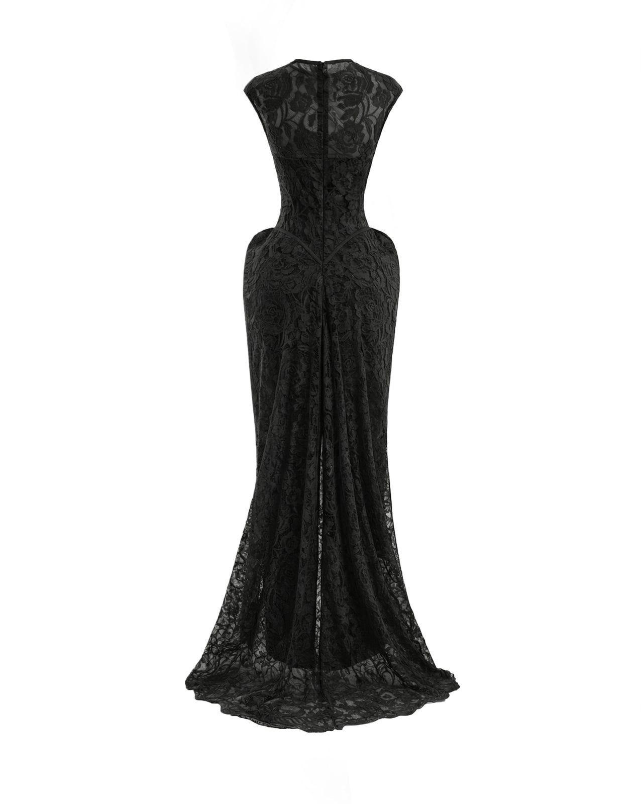 Sculpted Lace Dress with Sheer Bodice