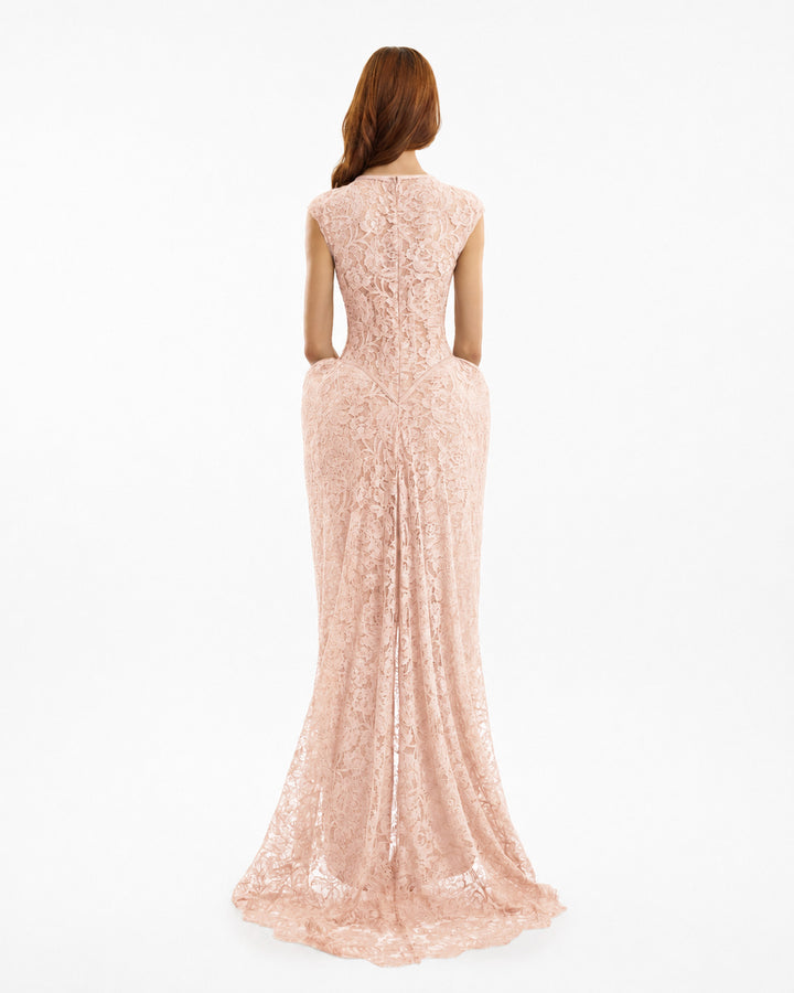 Sculpted Lace Dress with Sheer Bodice