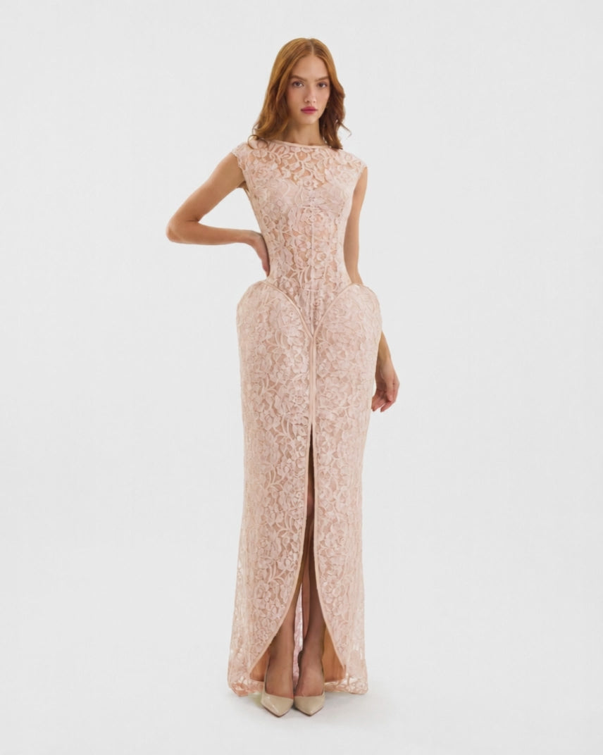 Sculpted Lace Dress with Sheer Bodice