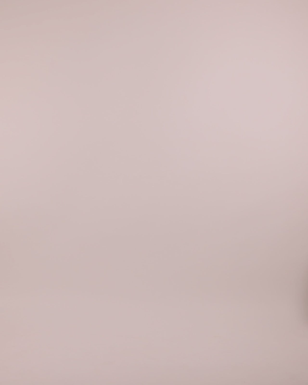 سان رايزينغ