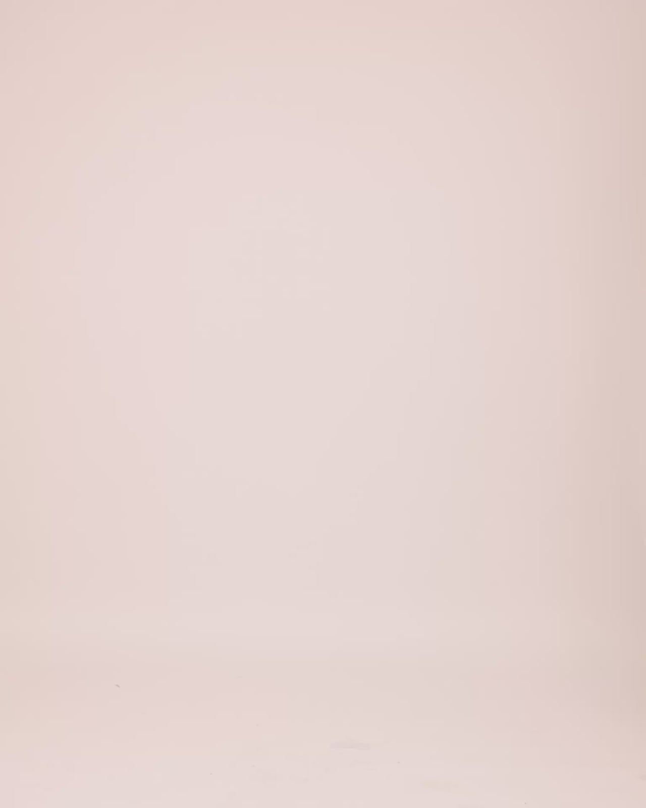 Embroidered Short Dress