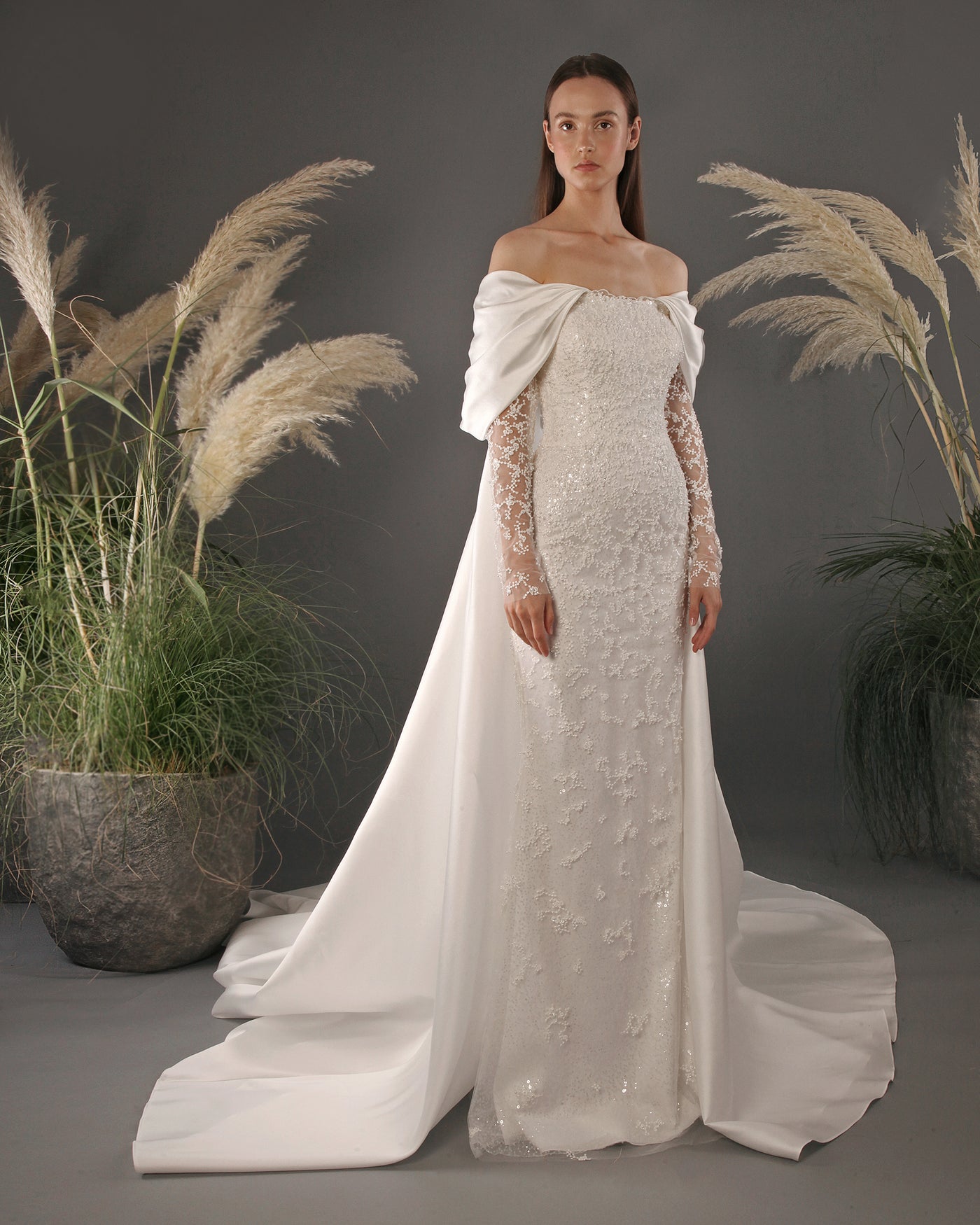 Slim Cut With Beaded Sleeves Gown