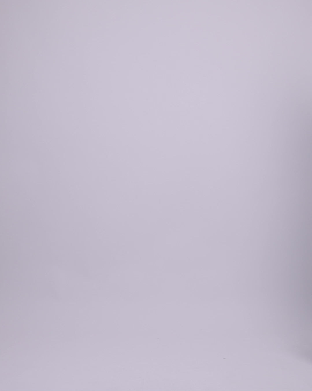 Metallic Fringes Top